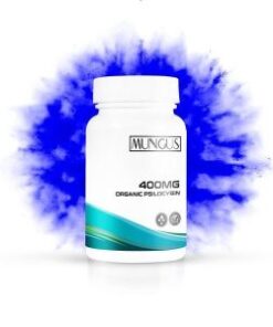 MicroDose 400MG Organic Psilocybin