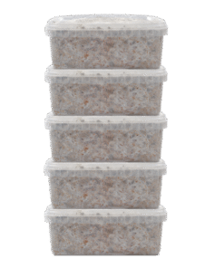 5 Magic Mushroom grow kit Discount Pack – Mondo®