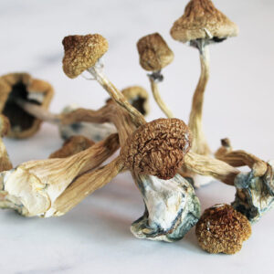 Buy-Psilocybe-Azurescens-Online-300x300-1.jpg