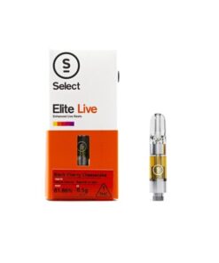 ELITE LIVE BLACK CHERRY CHEESECAKE