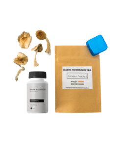 First Timer Magic Mushroom Kit