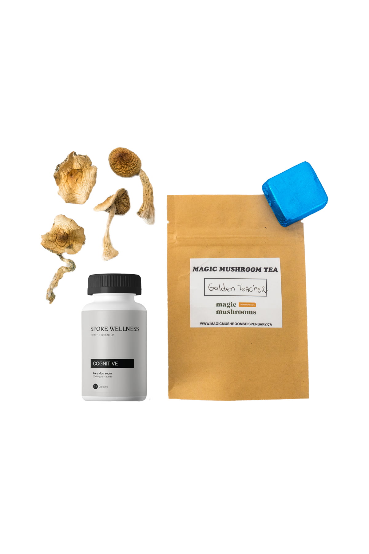 First-Timer-Magic-Mushroom-Kit.jpg
