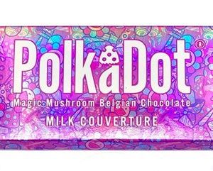 Polkadot-chocolate-bars-300x241-1.jpg