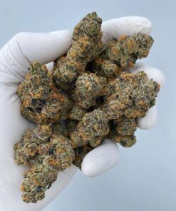 Grape Pie