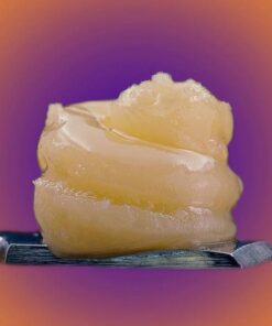 Live budder Papaya Punch (Papaya punch x purple Punch)