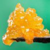 Lemon Tree Papaya – Live Resin – 1.0g